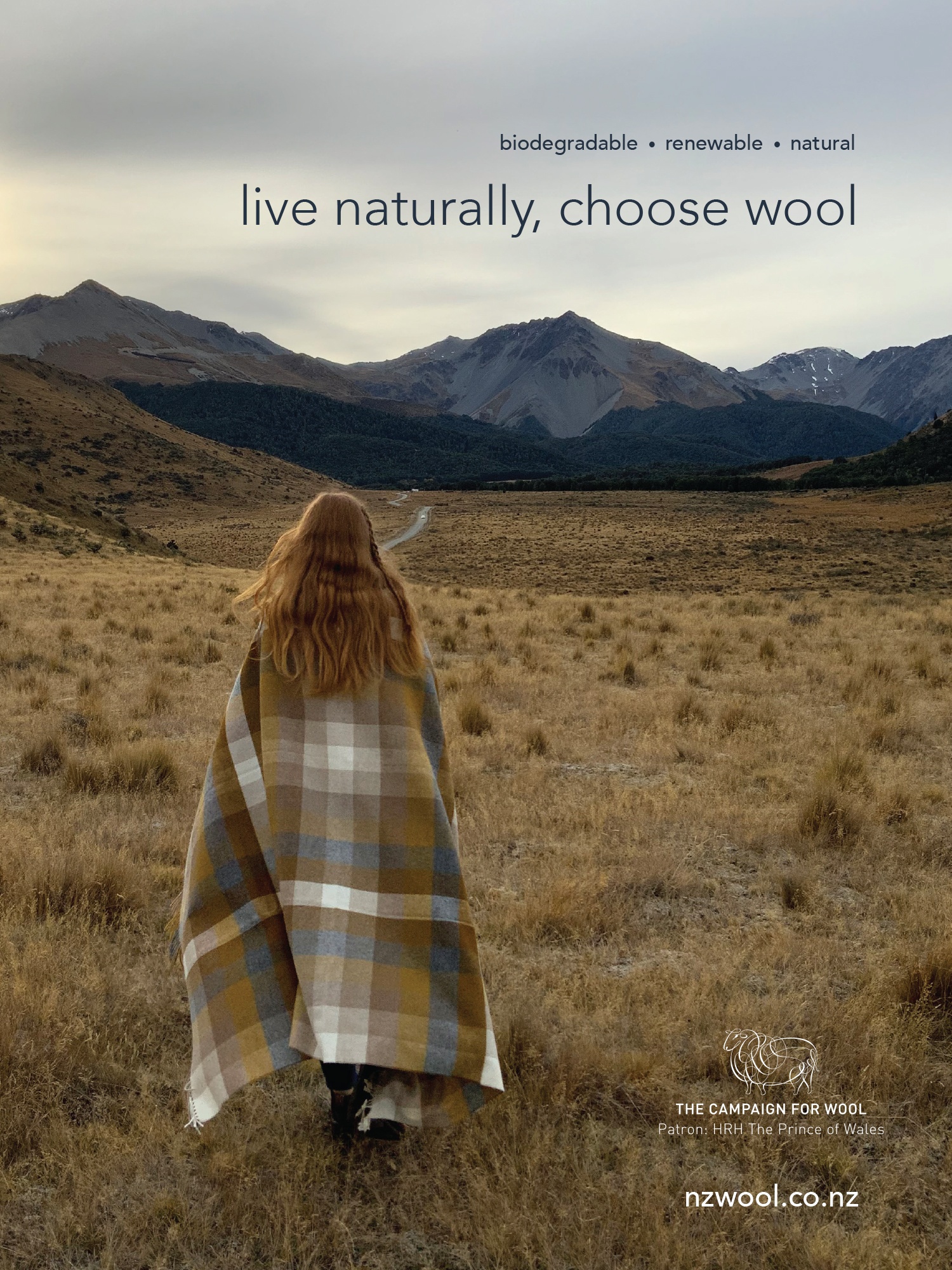 Advertisement for NZ Wool