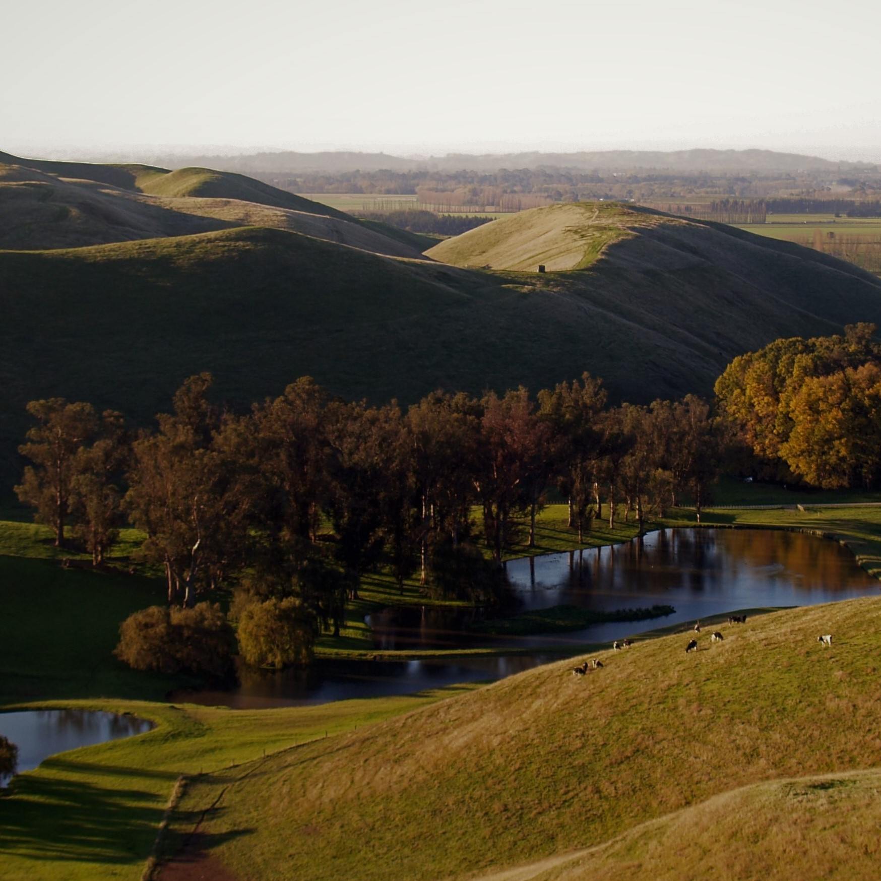 NZ Farm Assurance Programme